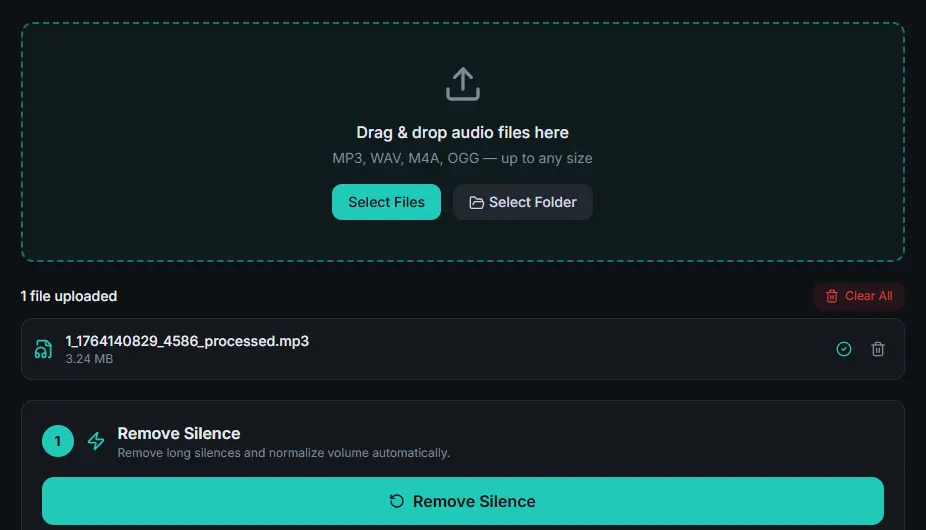 Audio Forge Pro Drag and Drop Interface for single file upload.